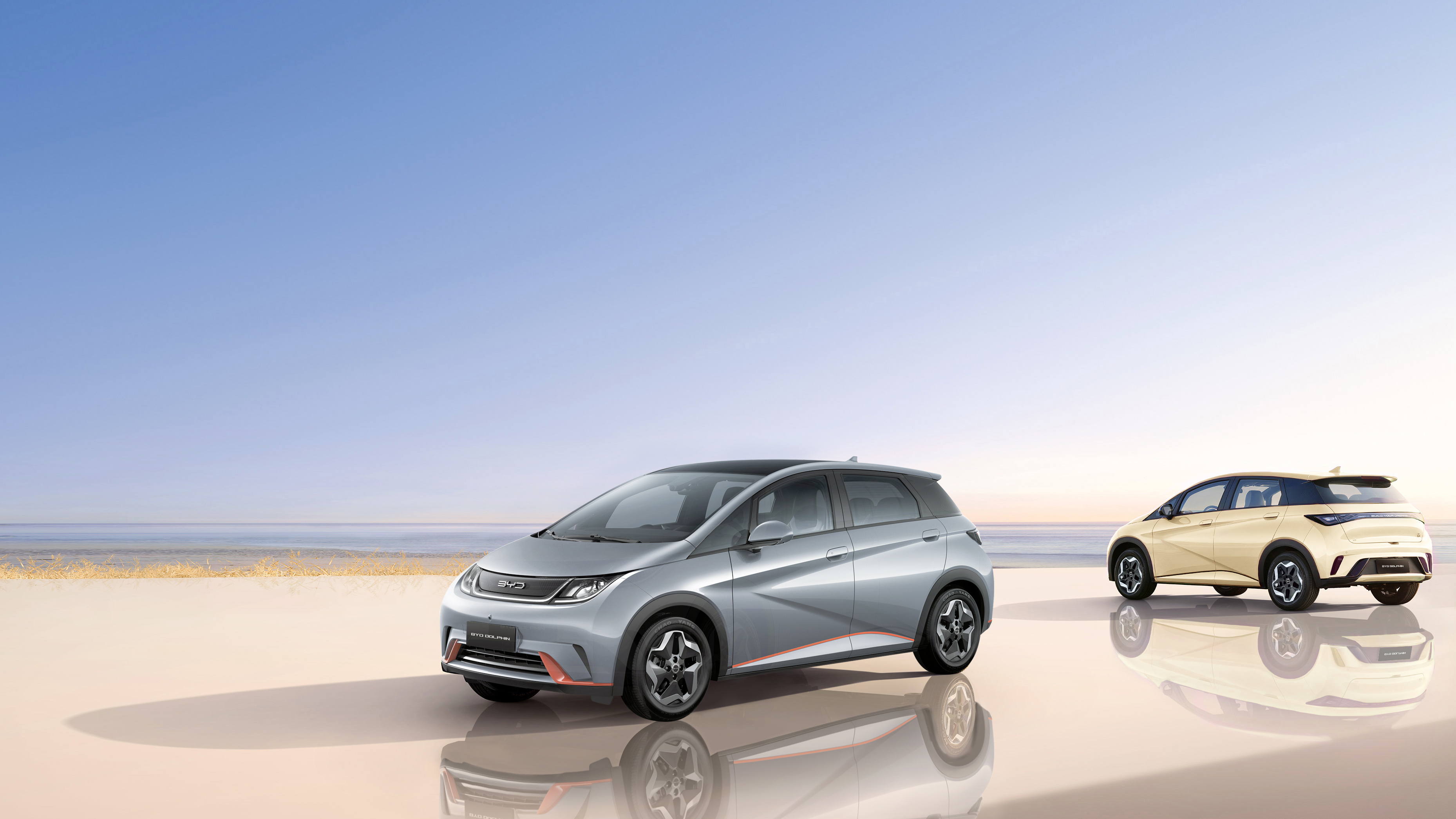 Ficha técnica del modelo